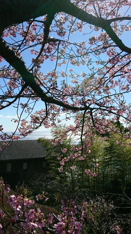 Chikurinan Mizuno Otel Atami  Dış mekan fotoğraf